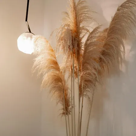 アパート Mediterranean Oasis Old Town スプリト