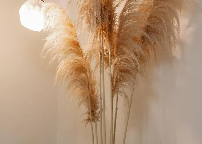 Lägenhet Mediterranean Oasis Old Town *